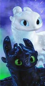 How to Train your Dragon beach towel