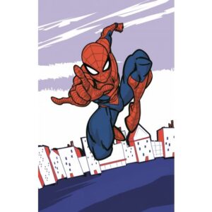 Spiderman cloth napkin
