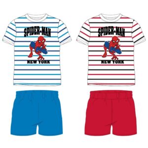 Spiderman summer set