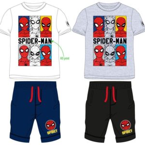 Spiderman summer set