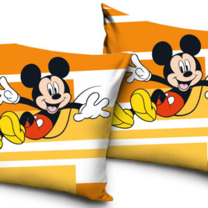 Mickey Mouse cushion