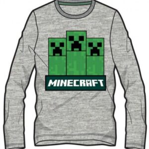 Minecraft top