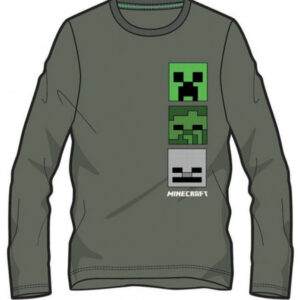 Minecraft top