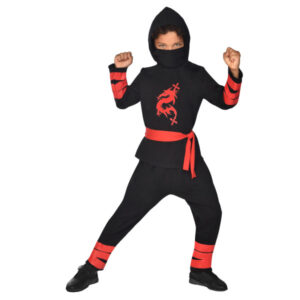 Ninja warrior costume