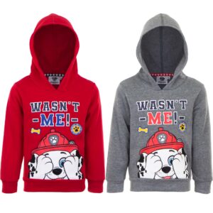 Paw Patrol hoody