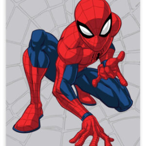 Spiderman towel