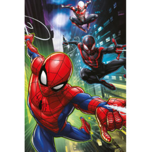 Spiderman fleece blanket